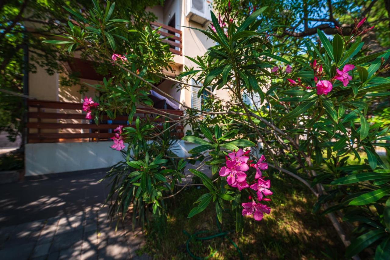 Vacation House Anna カルロバッグ エクステリア 写真